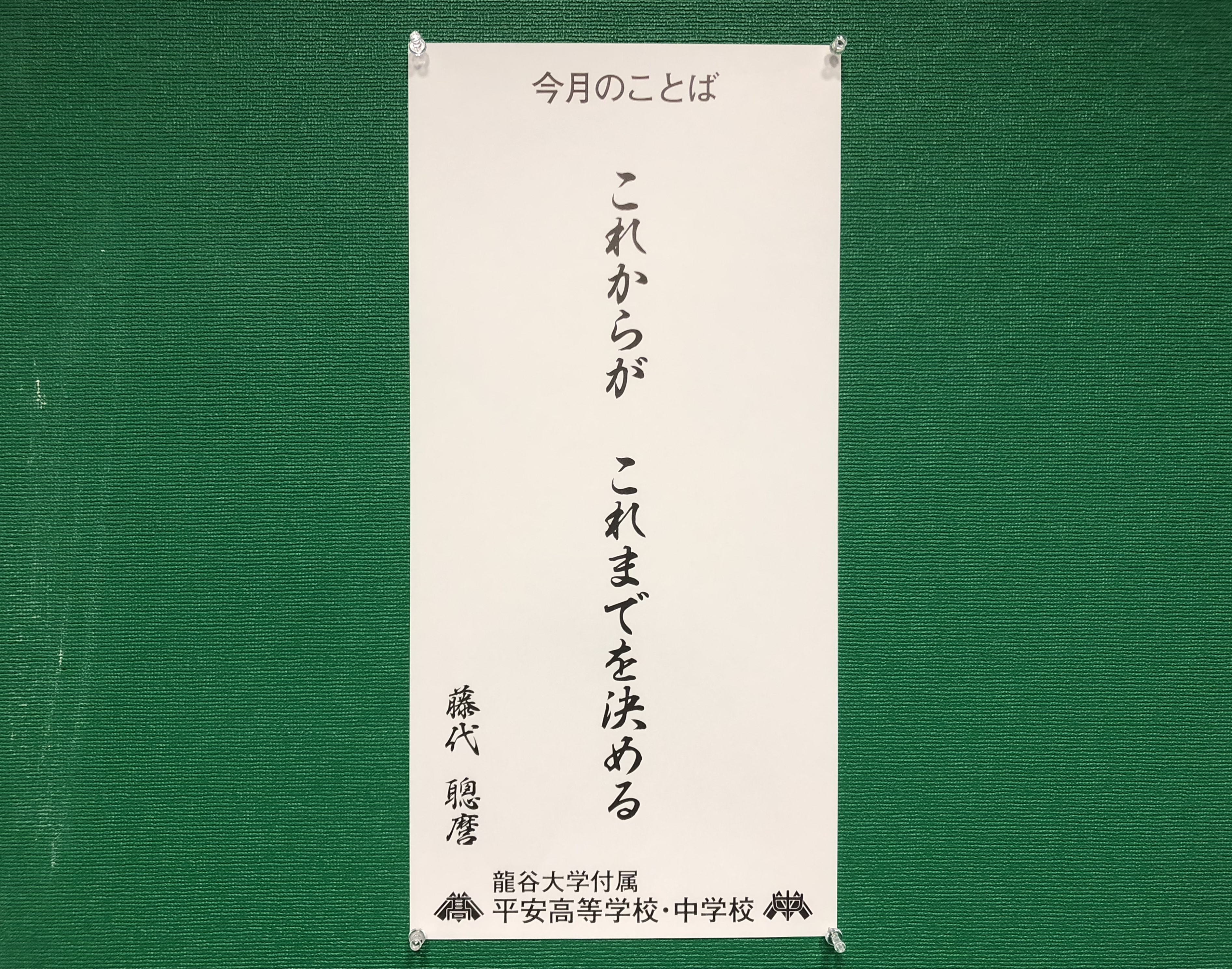 ファイル 489-2.jpeg