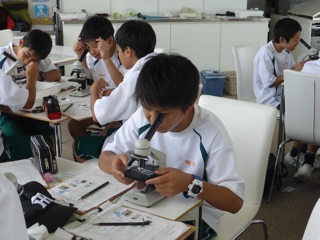 ファイル 867-5.jpg