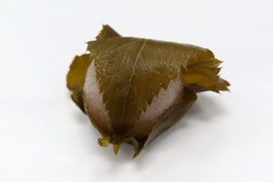 ファイル 2140-5.jpg